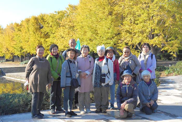 �Q�S�N�H�̂Ԃ��U��