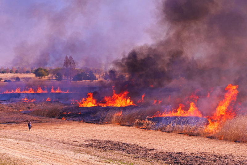 ��ʂ̕�����