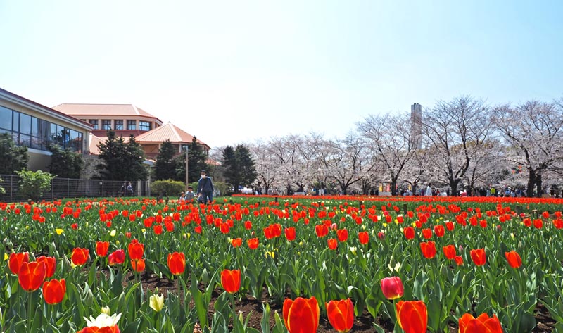 ��ʂ̕�����