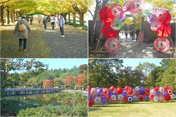 �Q�S�Ԃ�藧��